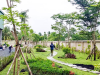 CHUYÊN ĐÀO TẠO & HƯỚNG DẪN VỀ CÂY CÔNG TRÌNH