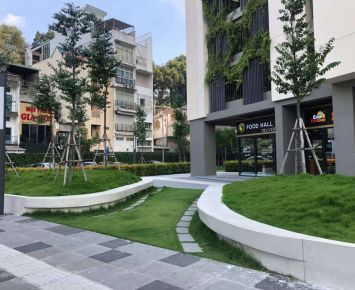  Cung cấp các cây công trình tại Đồng Nai