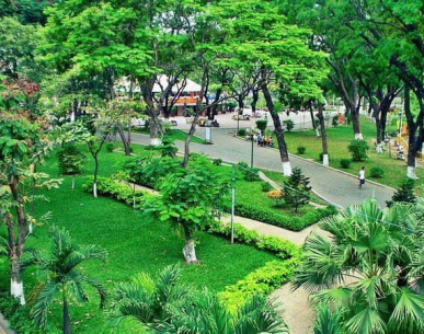 TƯ VẤN PHONG THUỶ CÂY CẢNH