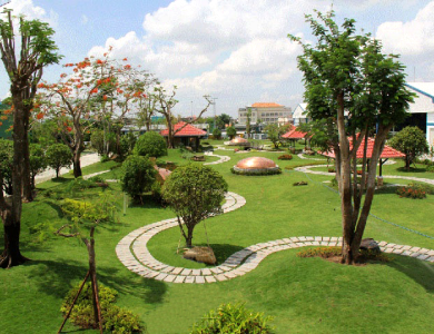 Cây cảnh Văn Quan chuyên cung cấp các loại công trình 