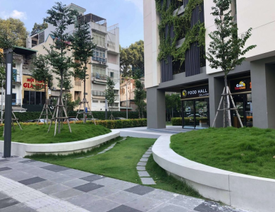  Cung cấp các cây công trình tại Đồng Nai